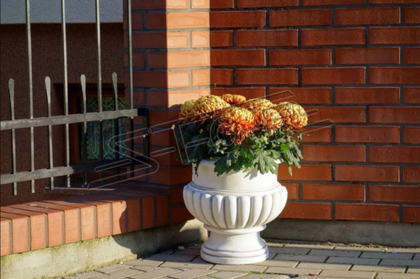 Blumentöpfe Dekorative Kasten Topf Blumen Töpfe XXL Beton Garten Terrasse