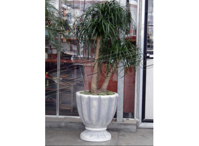 Blumentöpfe Kasten Topf Blumen Dekorative Töpfe XXL Beton Garten Terrasse
