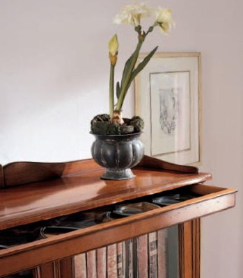Bücherregal Vitrine Vitrinenschrank Klassischer Schrank Bücherschrank Holz Regal