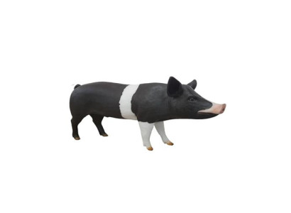 Mast Schwein Bauernhof Dekoration Garten Statue Tier Wurst Statuen 160cm Figuren