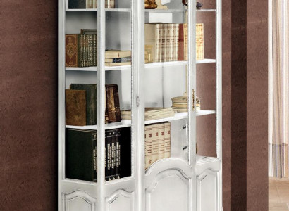 Bücher Schrank Regal Schränke Anrichte Büro Möbel Einrichtung Vitrine Holz Neu