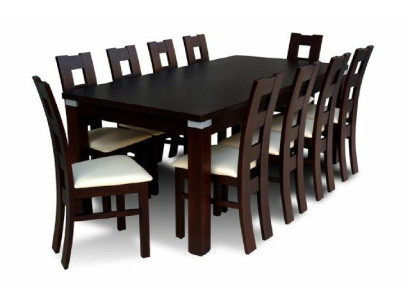 Esstisch mit 10 x Stühlen Esszimmer Set Essgruppe Holz Tisch 200/290 cm 