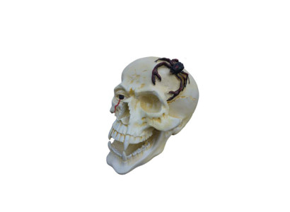 Schädel Kopf Skorpion Figur Statue Skulptur 44 cm Figuren Statuen Skulpturen N87