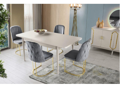 Esszimmer Set 5tlg Grau Einfarbig Esstisch Stühle Modern Rechteckig Form Design
