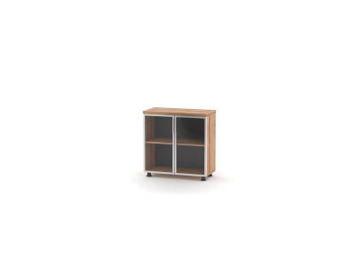 Aktenschrank mit Glastüren Braun Einfarbig Einlegenboden Arbeitszimmer