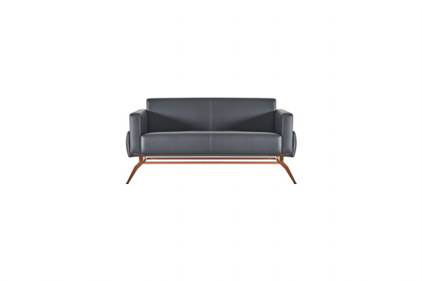 Arbeitszimmer-Set 2tlg 2-Sitz Sofa mit Sessel Grau Einfarbig Wohnzimmer