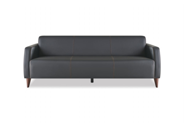 Sofagarnituren Schwarz 3-Sitzer 2-Sitzer Sessel Einfarbig Leder Set Sofas