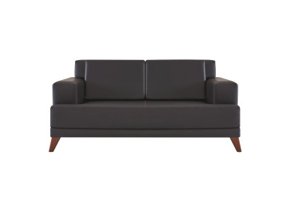 Couch Leder 2-Sitzer Sofa Schwarz Einfarbig Modern Design Ledesofa Holz