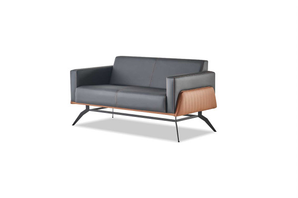 Sofa-Set Schwarz Braun Ledersofas Sitzmöbel 3-Sitzer 2-Sitzer Couches