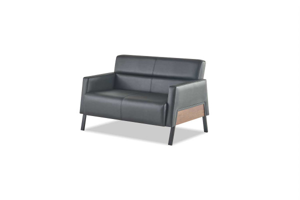 Sofa Schwarz 2-Sitzer Ledersofa Modern Couch Leder Edelstahl Zweisitzig