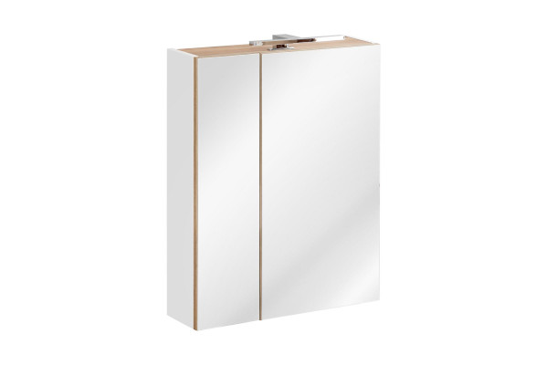 Spiegelschrank Badezimmerschrank Badspiegel 60x16x75 cm Schränke