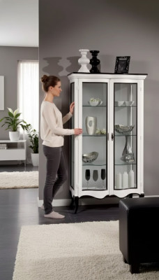 Wohnzimmer Möbel Anrichte Holz Vitrinen Glas Schrank Echtholz Vitrine